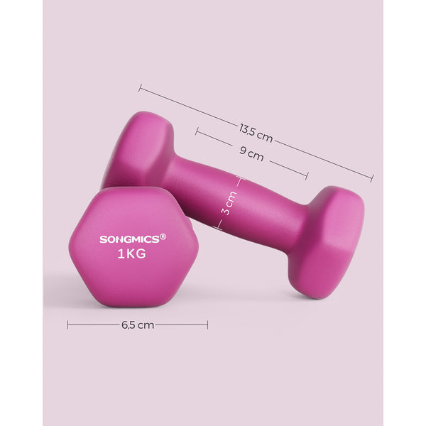 Halters - 2 Gewichten van 1 kg - Halter set - Roze