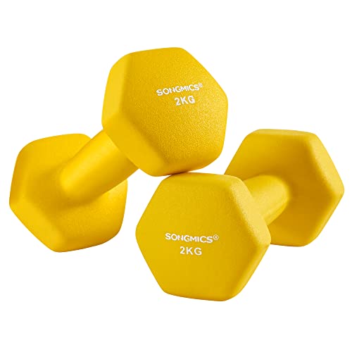 Halters - Dumbbells - Set van 2 - 2 x 2 kg - Home gym
