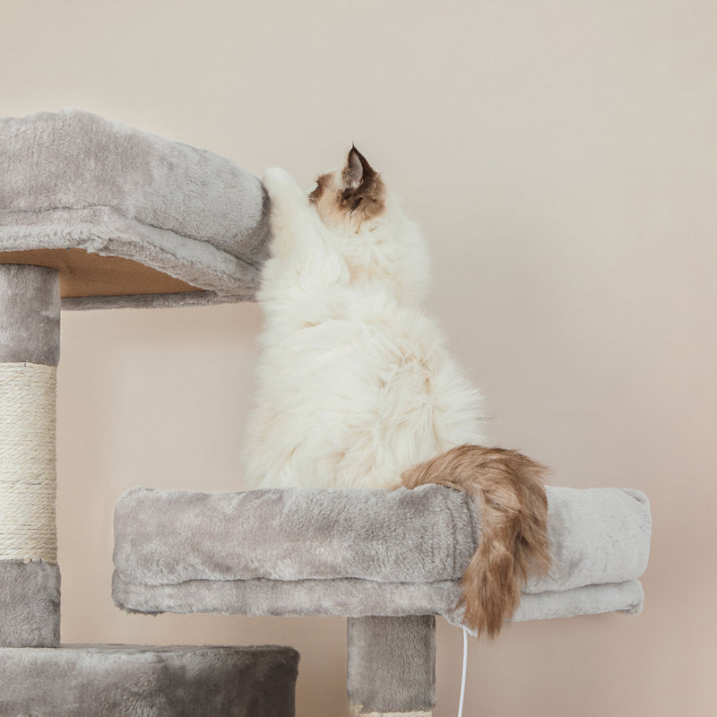 Cat Tree - Scratching Post - avec 2 hamacs et 2 grottes - Extra Large - Gray