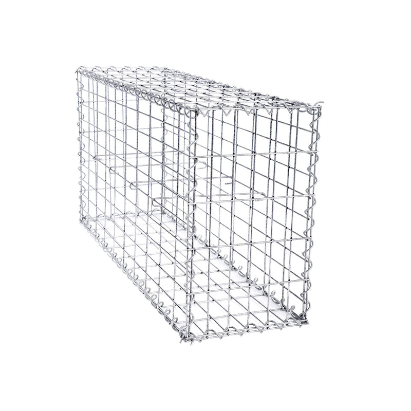 Schanskorf - Gabion - Steenkorf - roestvrij - 100 x 50 x 30 cm - Zilver