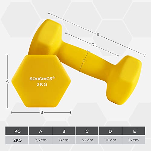 Halters - Dumbbells - Set van 2 - 2 x 2 kg - Home gym