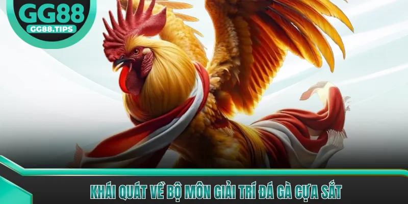 Khái quát về bộ môn giải trí đá gà cựa sắt