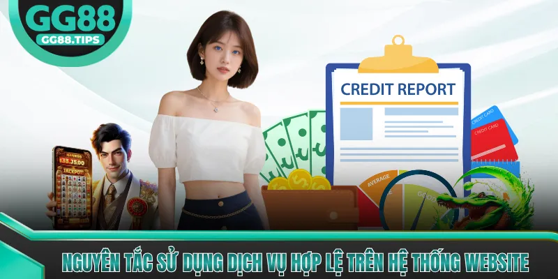 Nguyên tắc sử dụng dịch vụ hợp lệ trên hệ thống website
